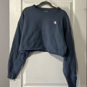 Extra cropped Champion sweater
